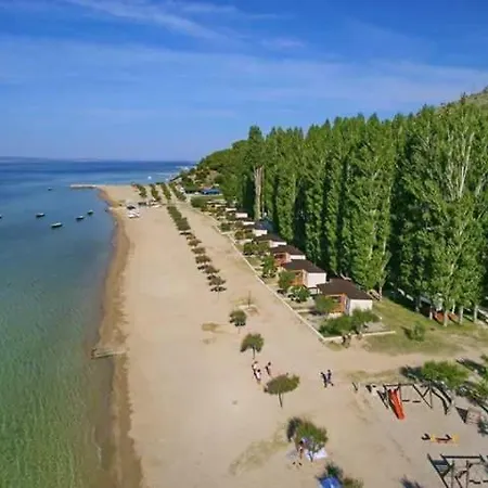 Enjoy Omis