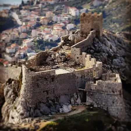 Enjoy * Omis